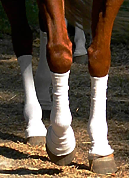 Ponožky pro koně Silver Whinnys 
