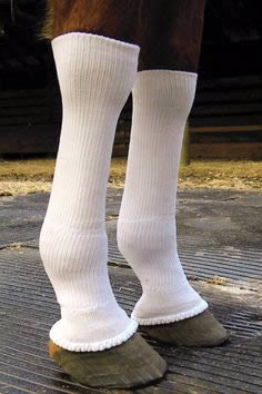 Ponožky po koně Silver Whinnys